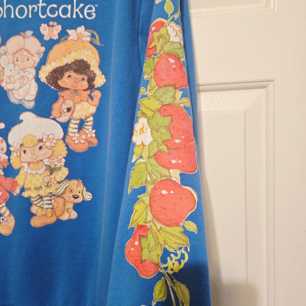 Strawberry Shortcake Graphic Sweatshirt Blue Crew Neck Sleeve Print MD - Picture 4 of 6